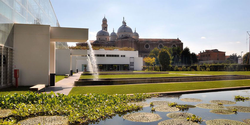 Discover the Timeless Beauty of the Orto Botanico di Padova