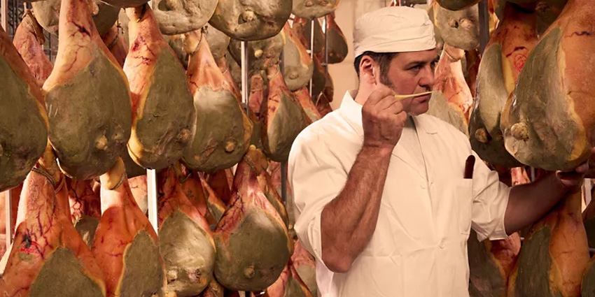 Discovering the Museums of Taste