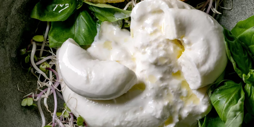 The Colors of Apulian Cuisine