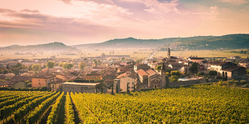 The Medieval Village Between Vineyards and History