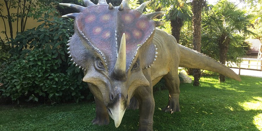 Cappeller Wildlife Park: an Immersive Experience of Nature, Fauna, and Environmental Education