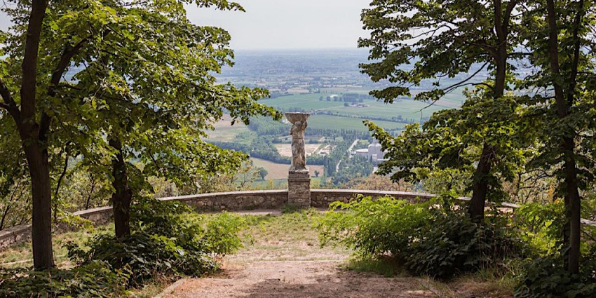 Trail No. 6 of Monte Ricco and Monte Castello: an Emotional Journey Through Forests, Silences, and Suspended Horizons