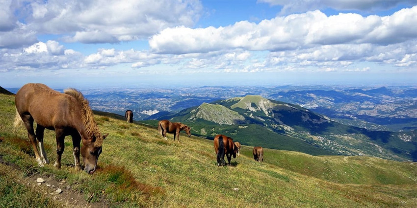 Tuscan-Emilian Apennines National Park: an emotional journey through nature, silence, and identity