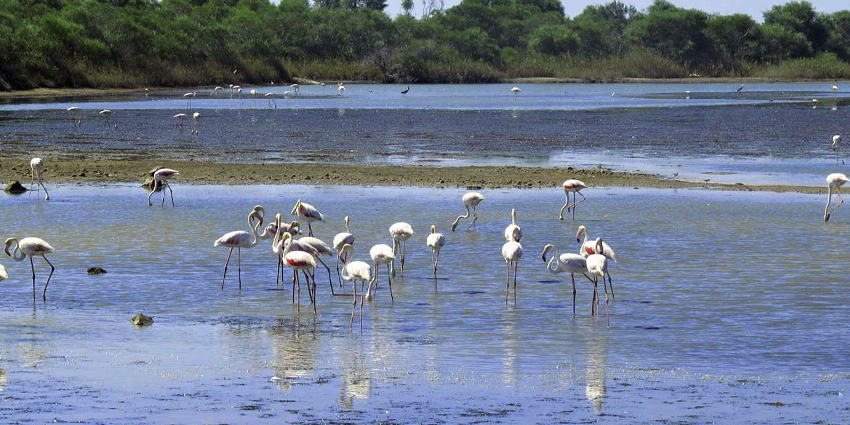 Pantano Longarini: An Emotional Journey Through Sicily’s Untamed Light