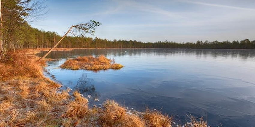Lake Brazzolo: a quiet experience where nature speaks softly