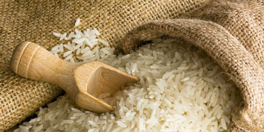 Mantua Rice: a Journey Through Tradition, Flavor, and Territory