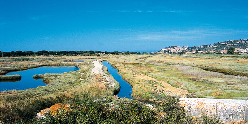 Botticino Wetland Area: an authentic experience among nature, silence, and biodiversity