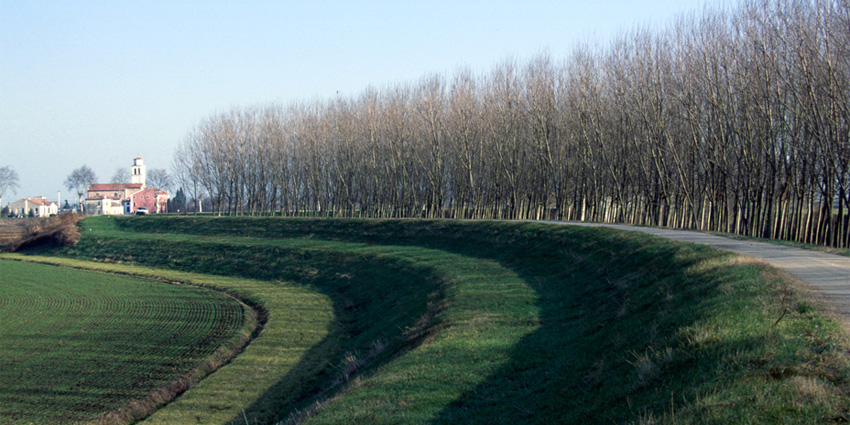 Discovering Valli Mocenighe: Where Nature, Tradition, and the Venetian Lagoon Meet