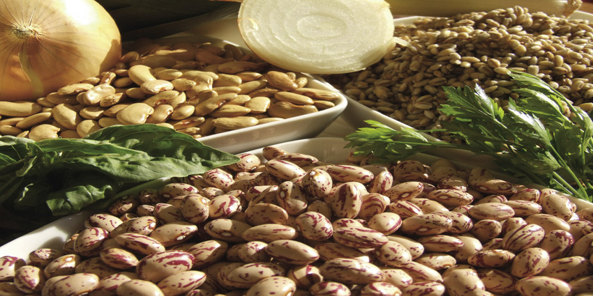 Lamon Beans: Discovering the Authentic Taste of Italy’s Mountain Tradition
