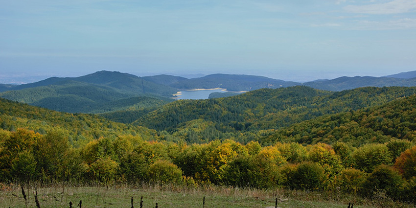 Vette del Montenero in Sila: Discover One of Calabria’s Most Authentic Mountain Experiences