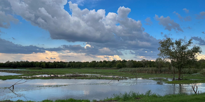 Oasi La Francesa: A Hidden Nature Experience in Carpi, Italy