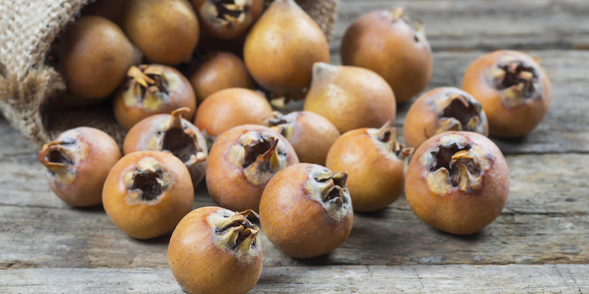 Loquats: A Sweet Mediterranean Discovery Worth Tasting